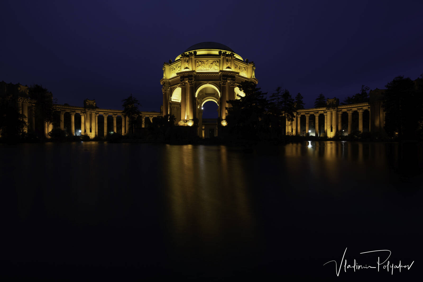 Image of The Palace of Fine Arts by Vladimir Polyakov