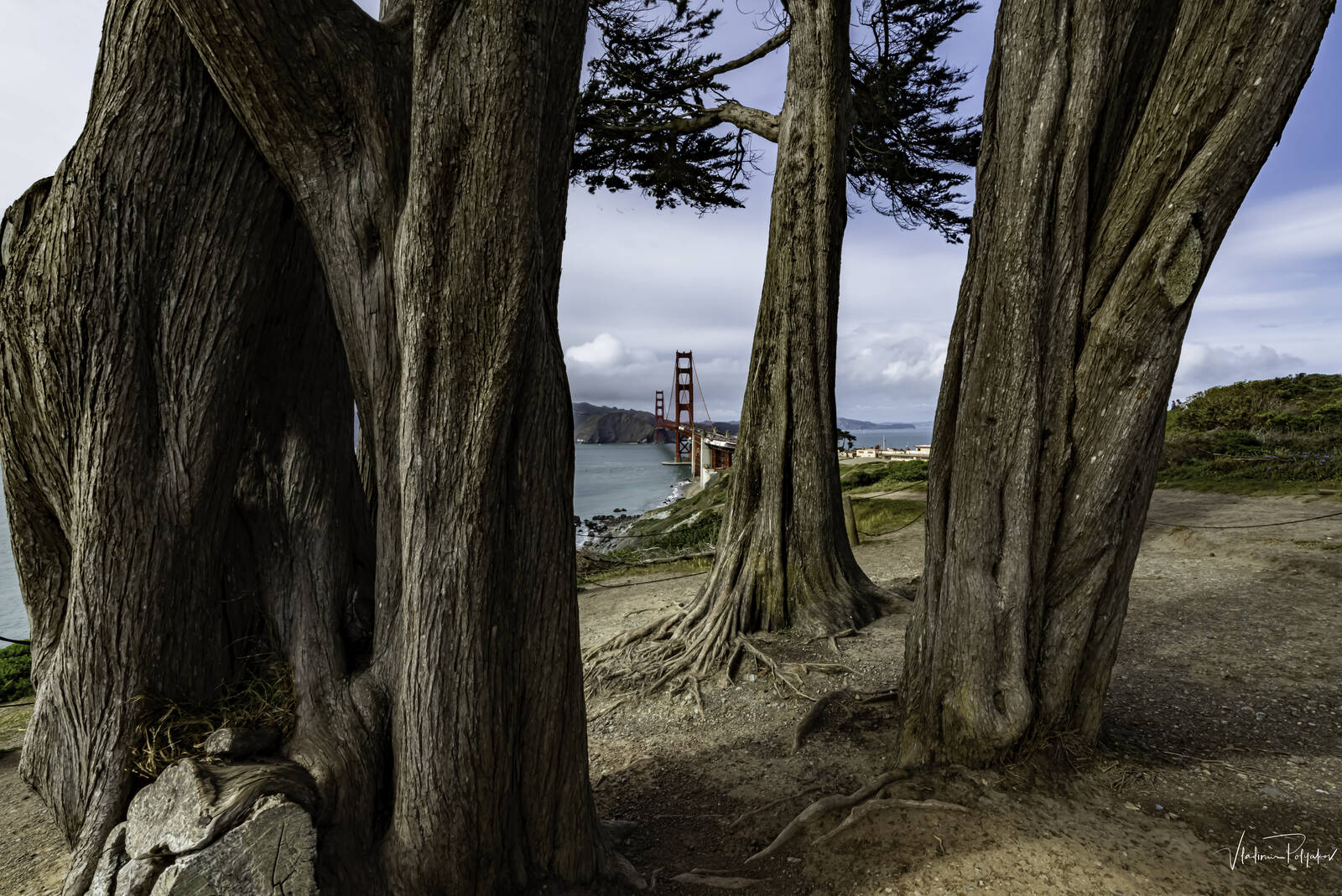 Image of Golden Gate Bridge View Vista Point by Vladimir Polyakov
