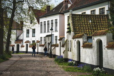 Picture of Beguinage - Beguinage