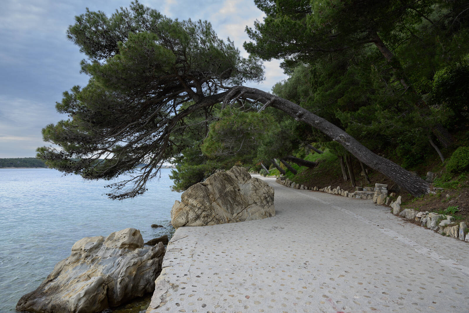 Image of Rab Sea Promenade View by Luka Esenko