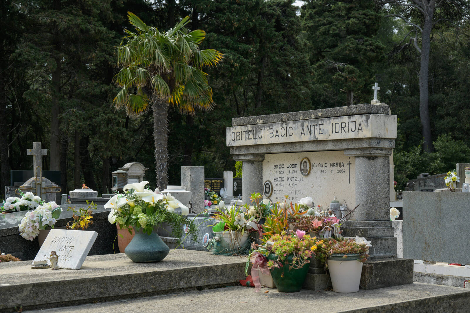 Image of Rab Town Cemetery by Luka Esenko