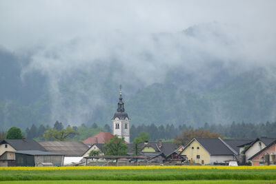 pictures of Slovenia - Žabnica Fields