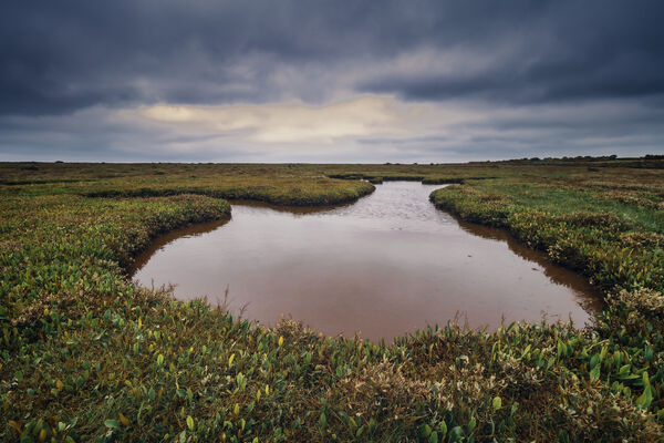One of the many marsh pools