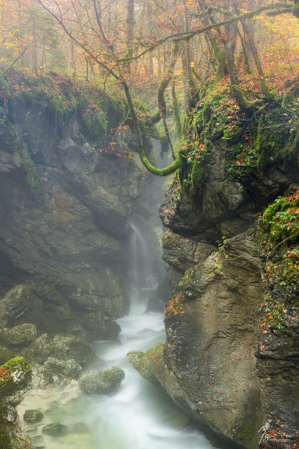 Such a beautiful gorge! I went there on a rainy, overcast morning in fall and it just gave the perfect hazy atmosphere I liked. Perfect 'bad weather day' location.