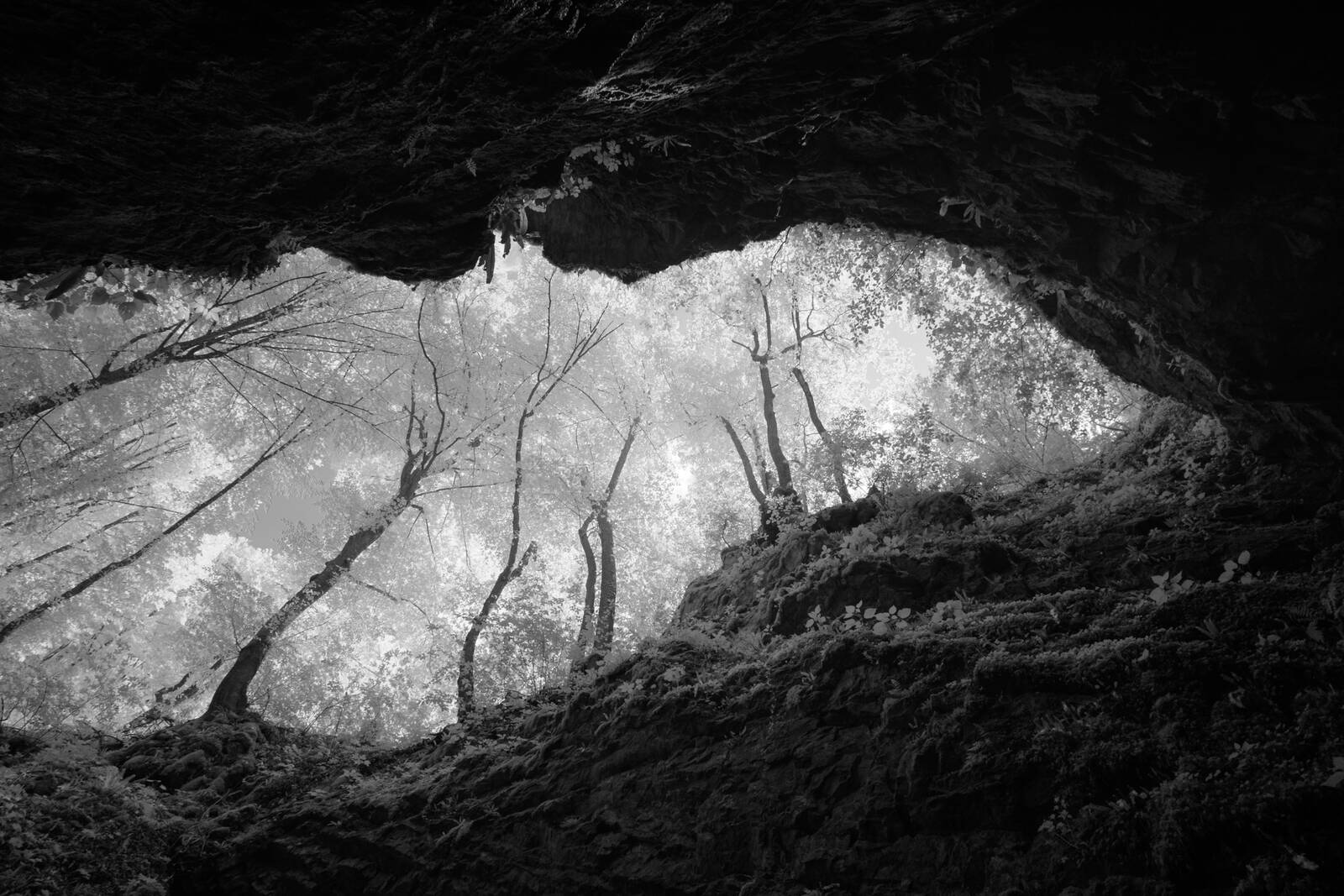 Image of Ledena Jama (Ice Cave) by Luka Esenko