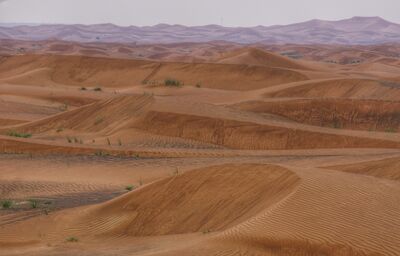 The Arabian Desert approaches the village on a daily basis.