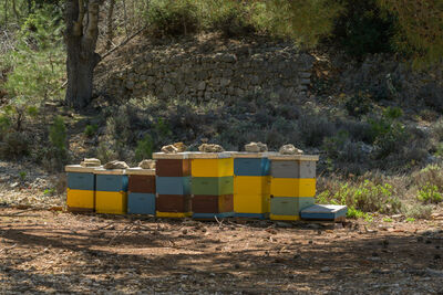 Beehives at Sveti Grgur island