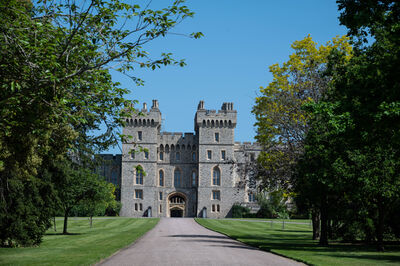 Image of Windsor Castle from The Long Walk - Windsor Castle from The Long Walk