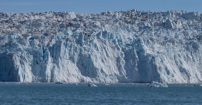 images of Greenland - Views of Eqi glacier 