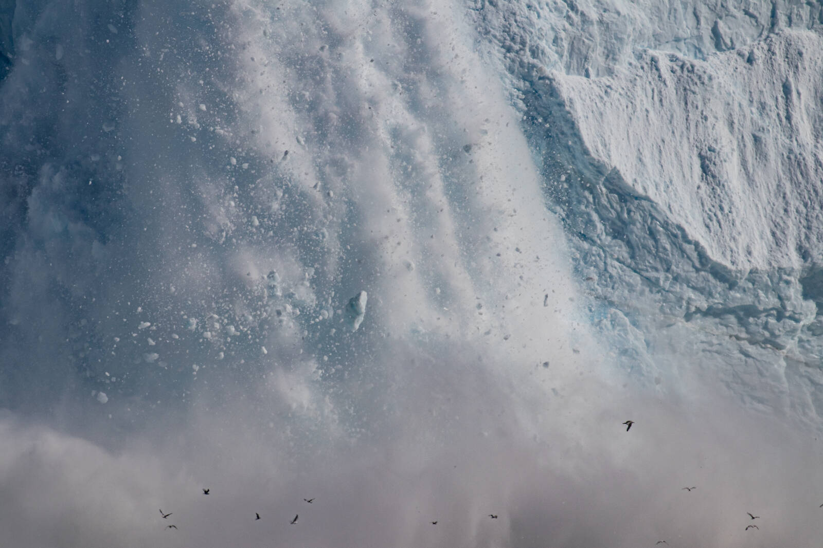 Image of Views of Eqi glacier  by Janina Wilde