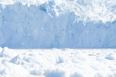 Greenland pictures - Views of Eqi glacier 