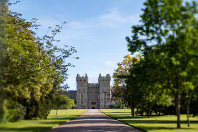 Image of Windsor Castle from The Long Walk - Windsor Castle from The Long Walk