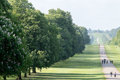 images of Windsor & Eton - Windsor Castle from The Long Walk