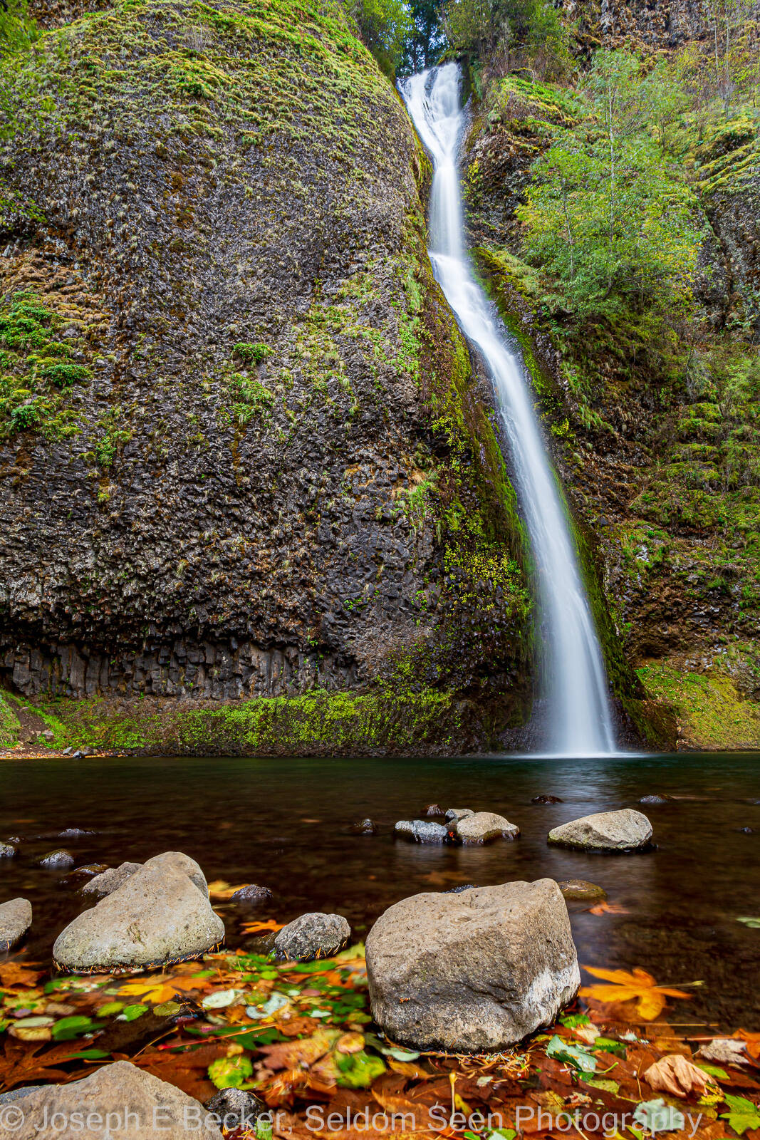 Image of Horsetail Falls by Joe Becker