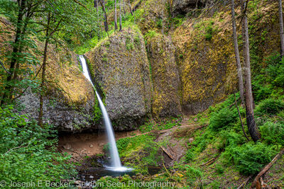 Picture of Ponytail Falls - Ponytail Falls