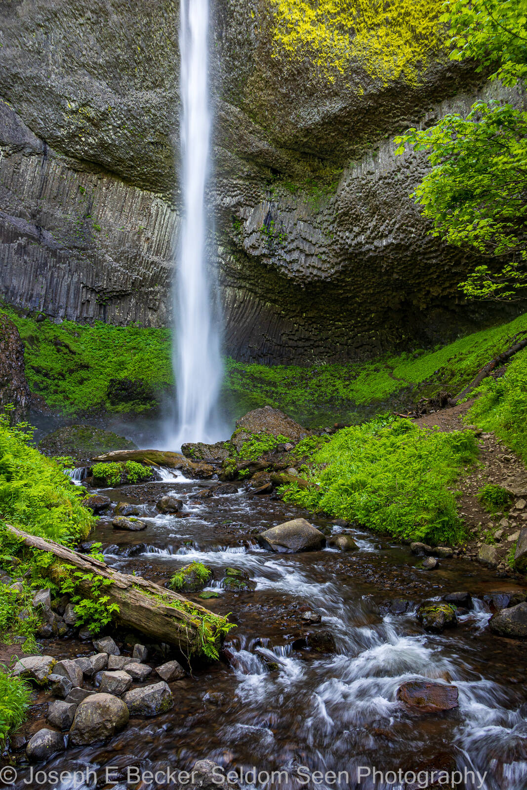 Image of Latourell Falls by Joe Becker