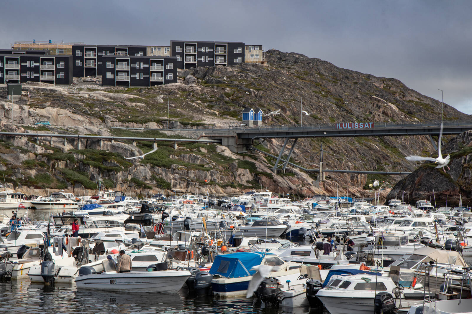 Image of Ilulissat Harbour by Janina Wilde
