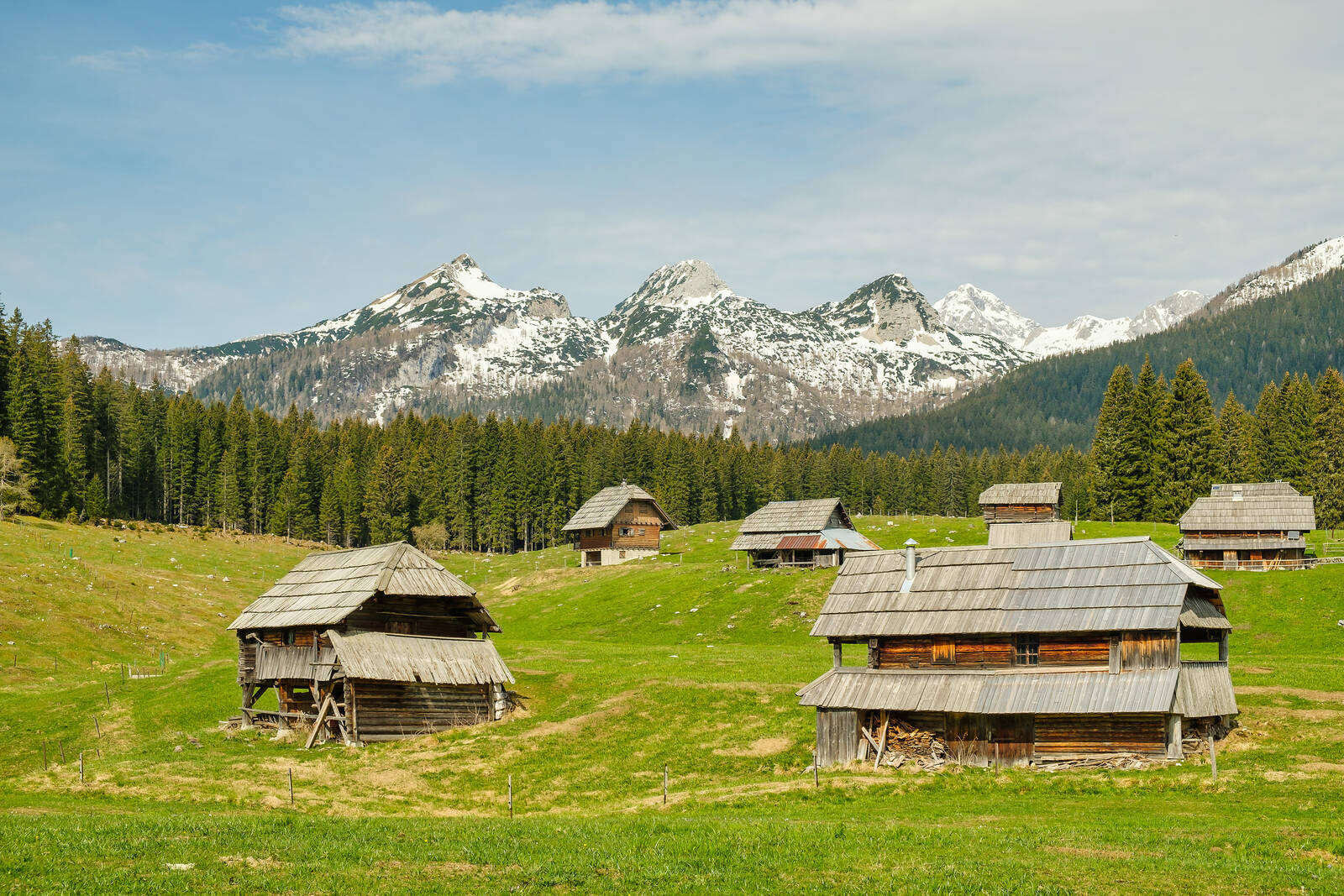 Image of Zajavornik Pasture by Peter Bielenberg