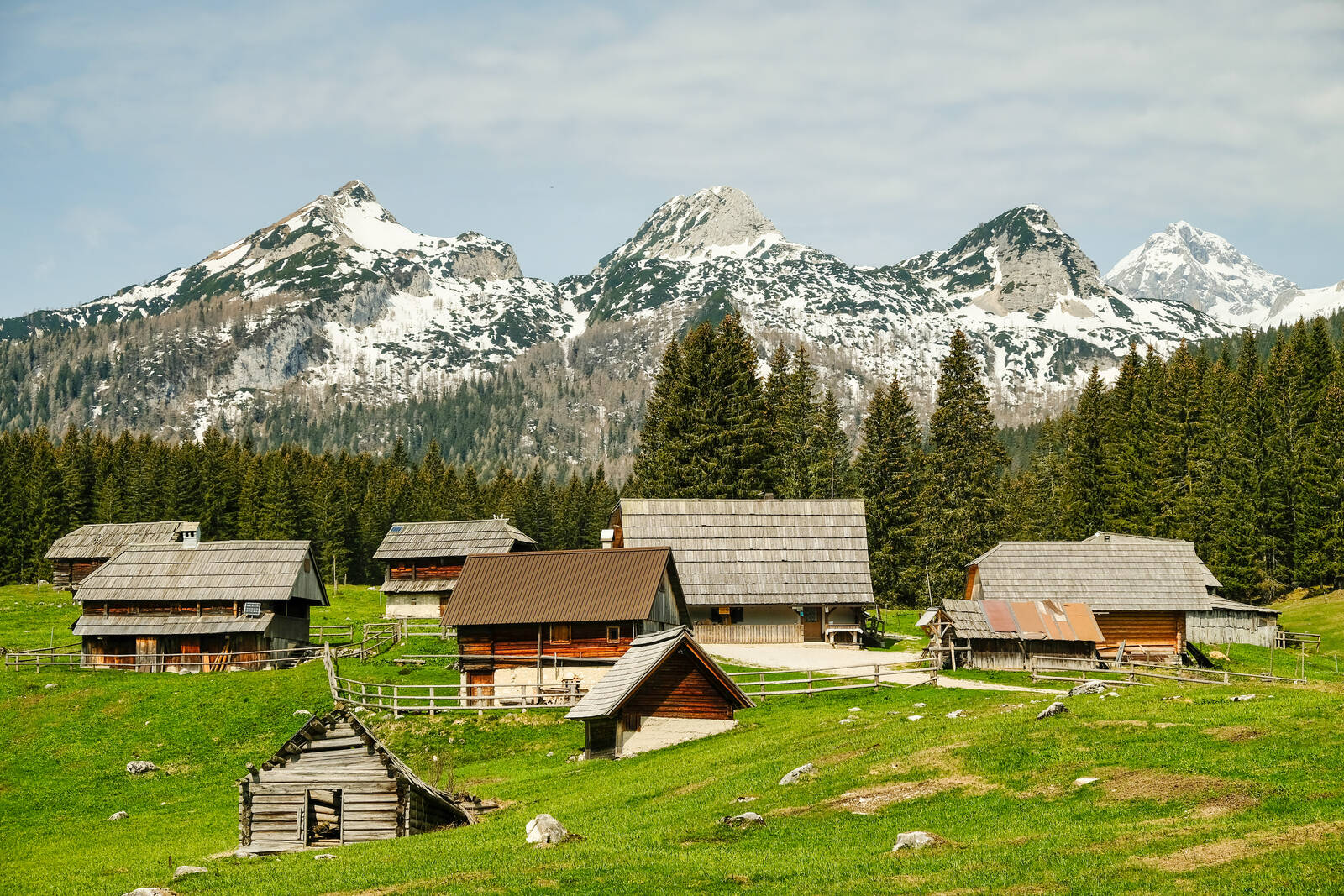 Image of Zajavornik Pasture by Peter Bielenberg