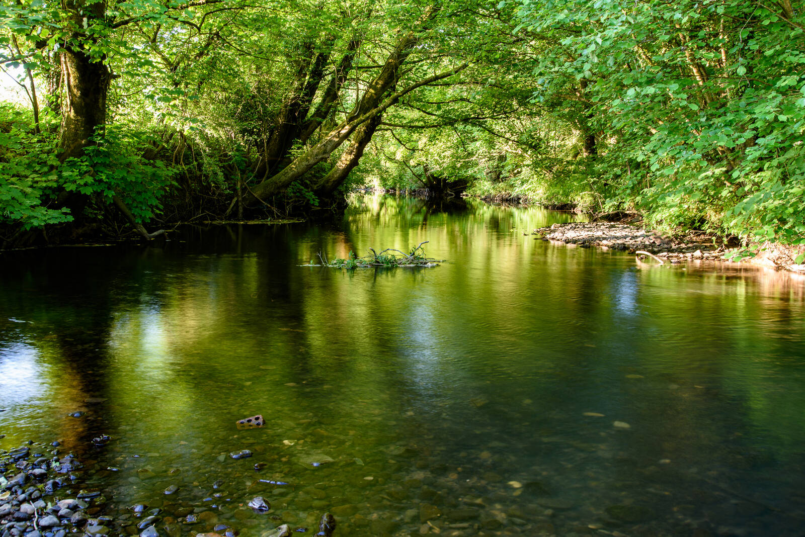 Image of River Ely Pontyclun by Charlie Hannah