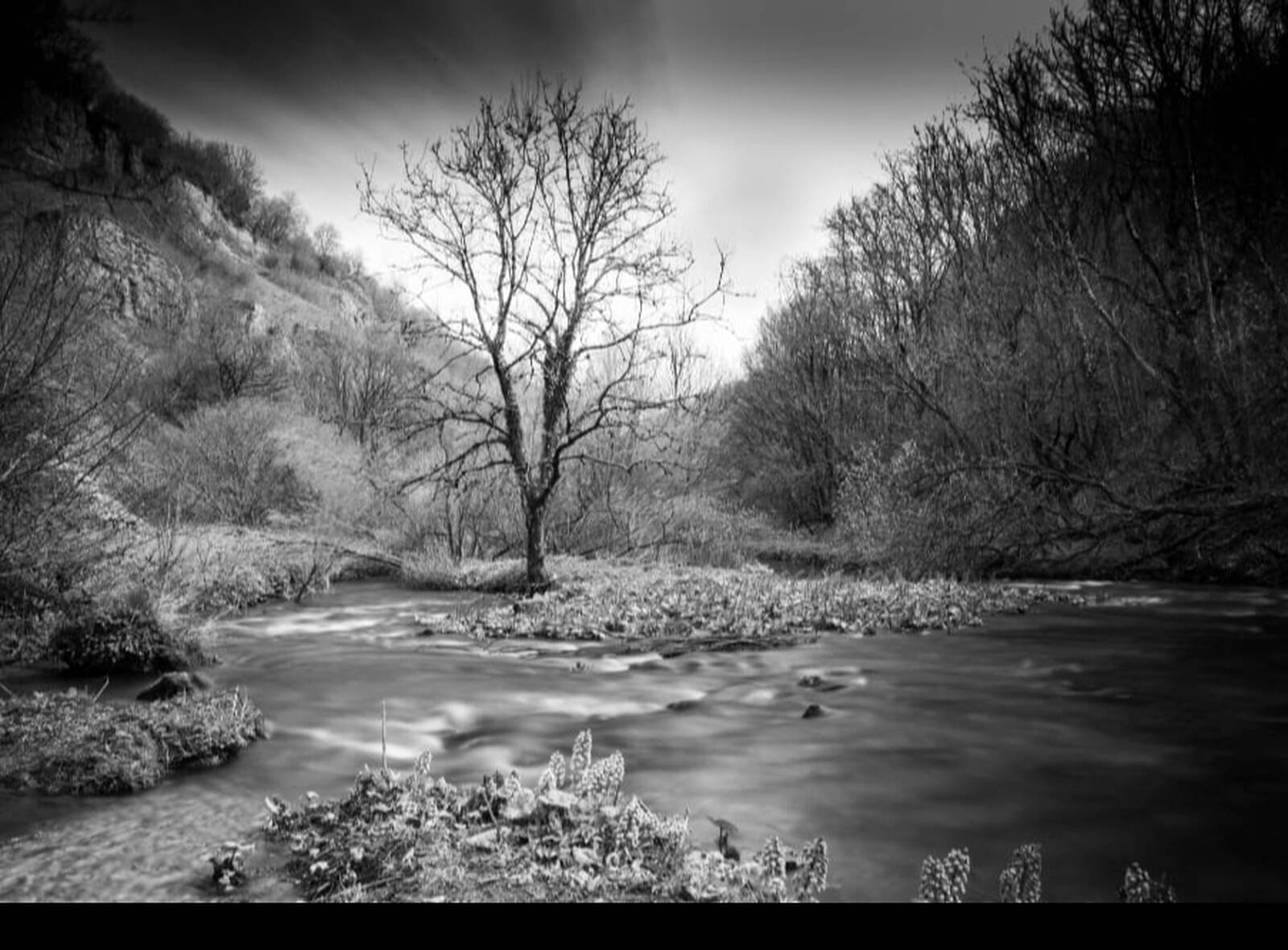 Image of Chee Dale by Nic Dunn
