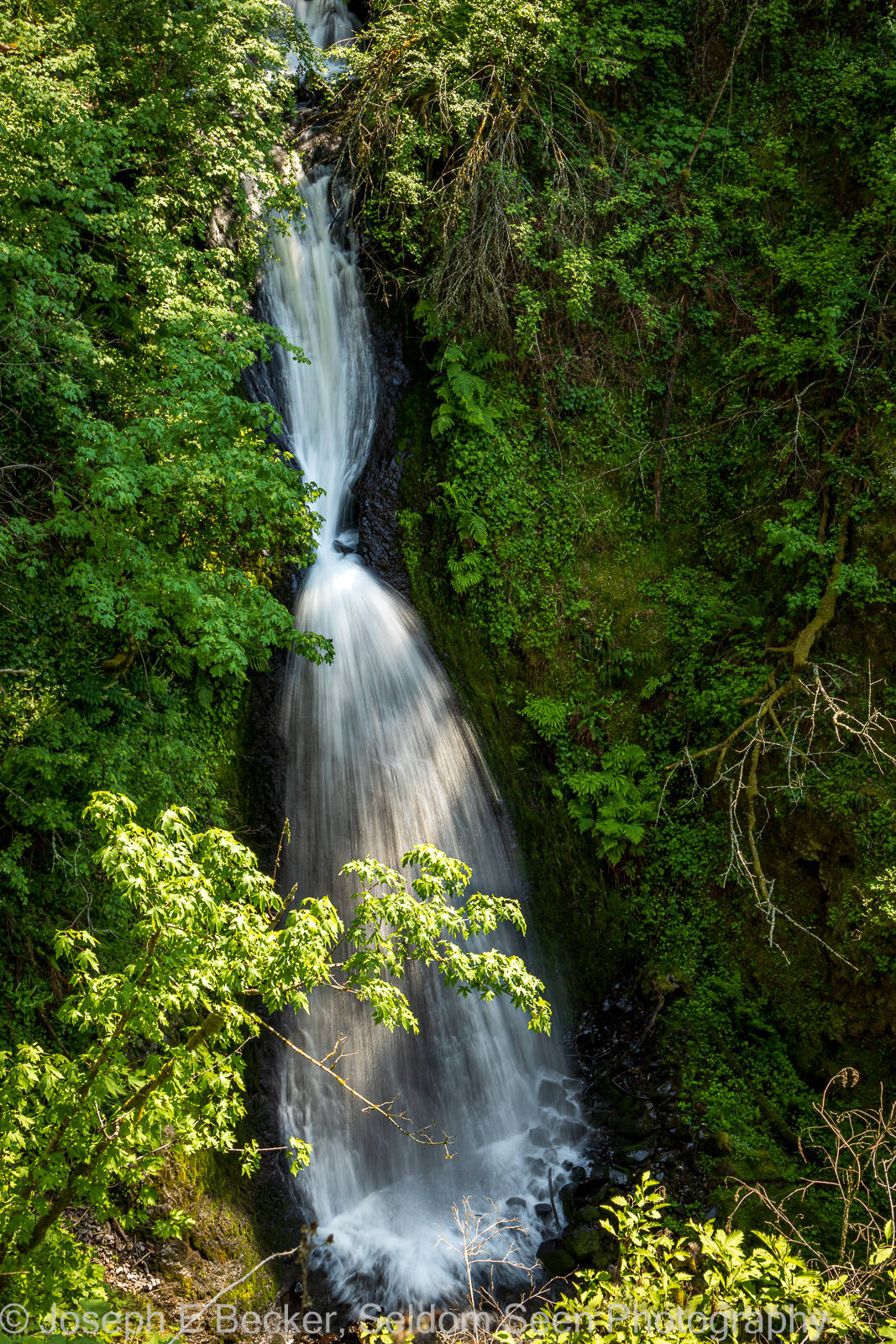 Image of Sheppards Dell Falls by Joe Becker