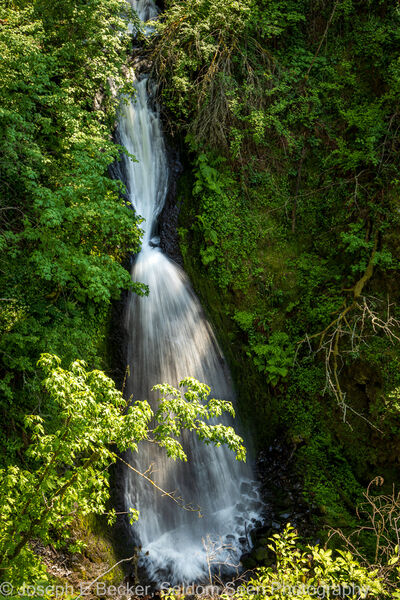 Photo of Sheppards Dell Falls - Sheppards Dell Falls