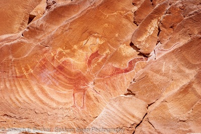 photography spots in Green River - Black Dragon Pictograph