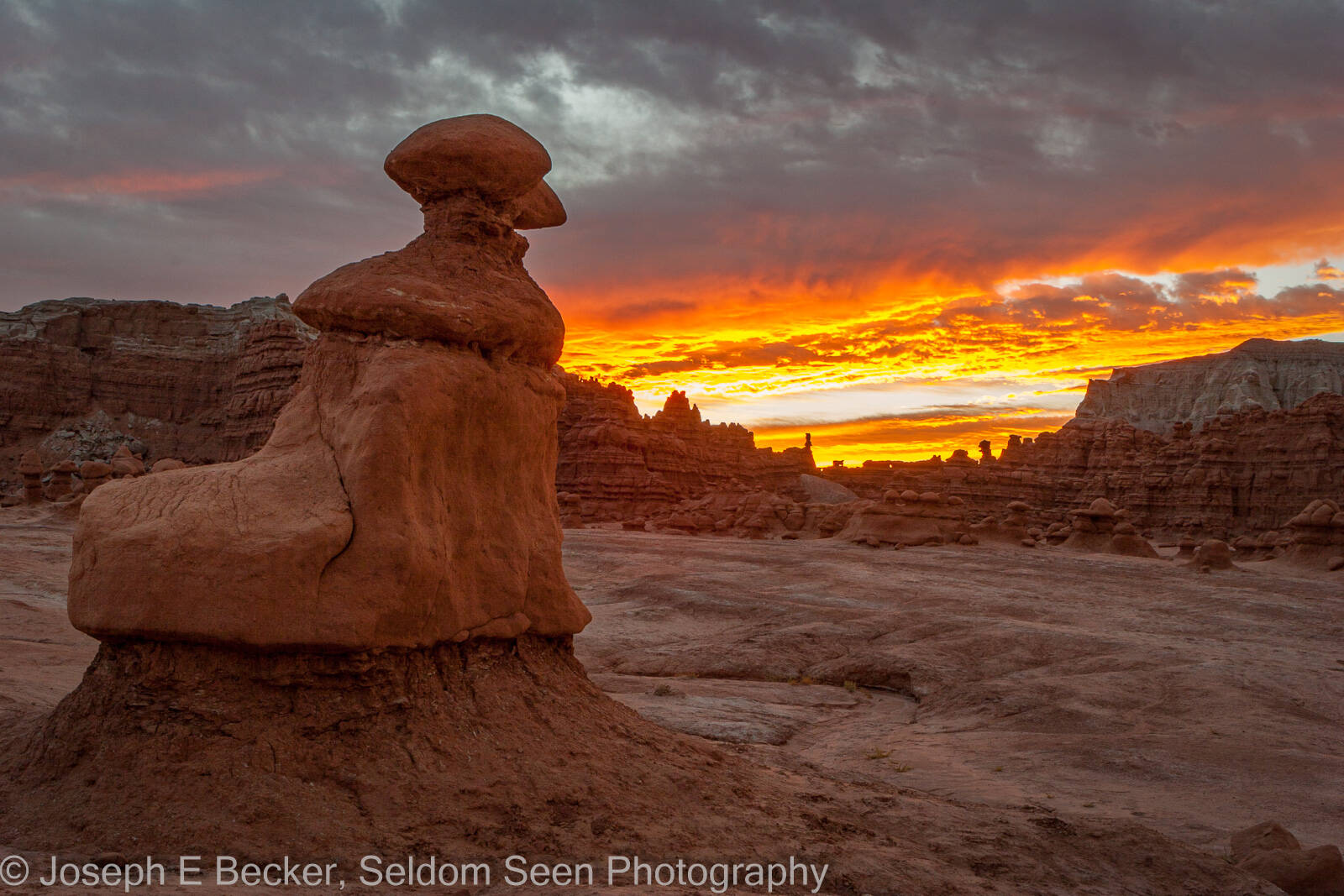 Image of Goblin Valley State Park - Main Valley by Joe Becker