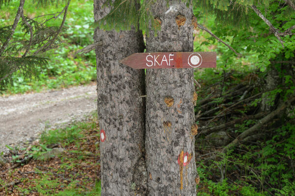 Trail signs to Matkov škaf