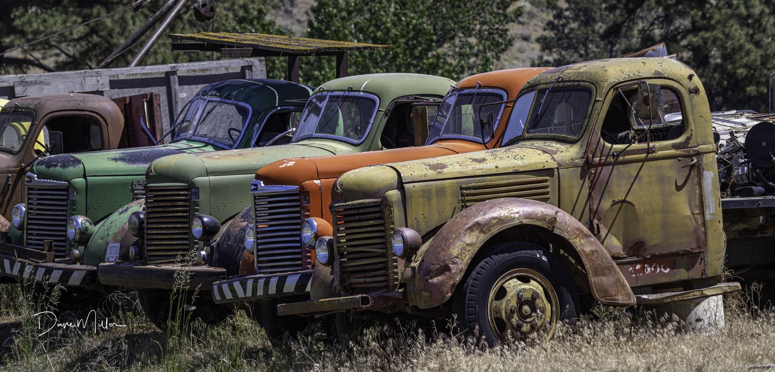 Image of Almota Road Trucks by Dave Miller