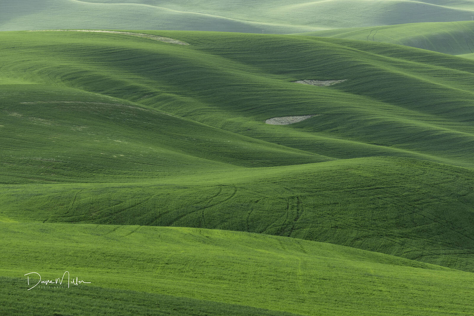 Image of Steptoe Butte by Dave Miller