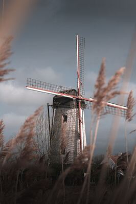Image of Windmills of Bruges - Windmills of Bruges