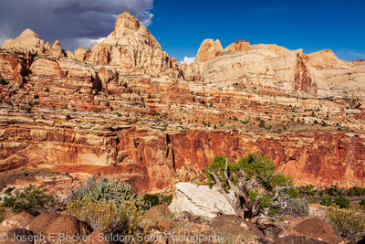 Image of Cohab Trail - Capitol Reef NP - Cohab Trail - Capitol Reef NP