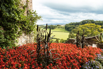 View from Dunster Castle over towards the Somerset coast