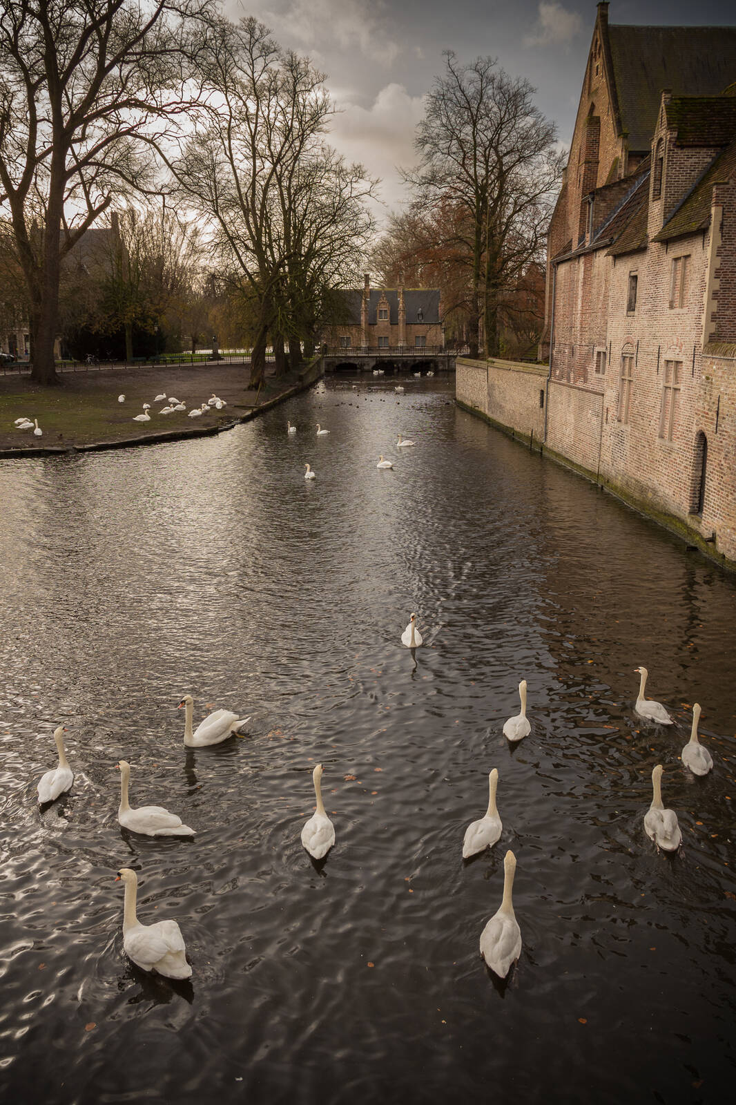 Image of Beguinage Bridge by Louise Browne