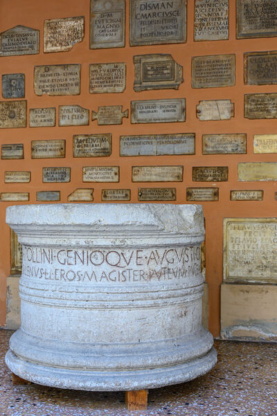 images of Bologna - Museo Civico Archeologico