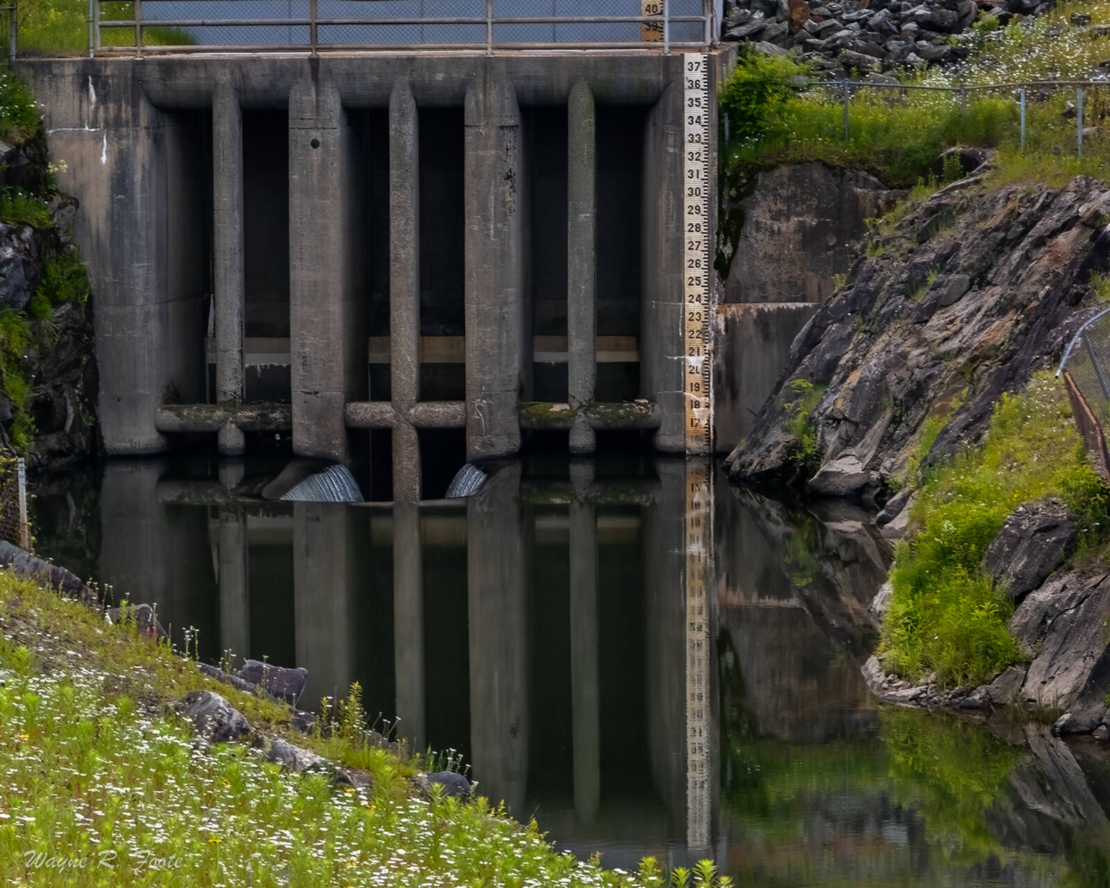 Image of Lower Levels, North Springfield Dam  by Wayne Foote