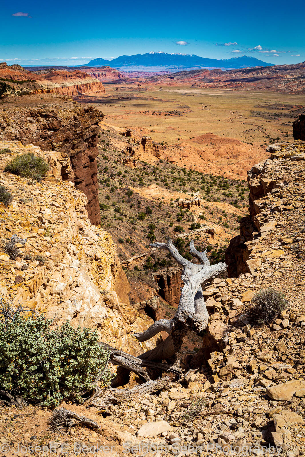 Image of Upper South Desert Overlook by Joe Becker