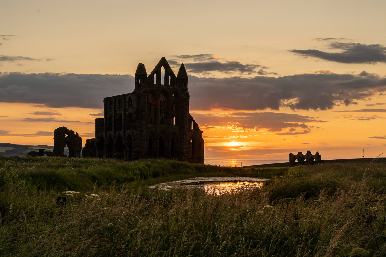 Image of Whitby Abbey by James Billings.