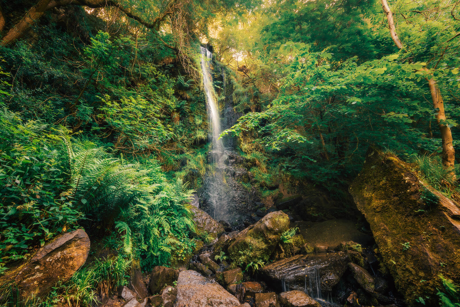 Image of Mallyan Spout Waterfall by James Billings.