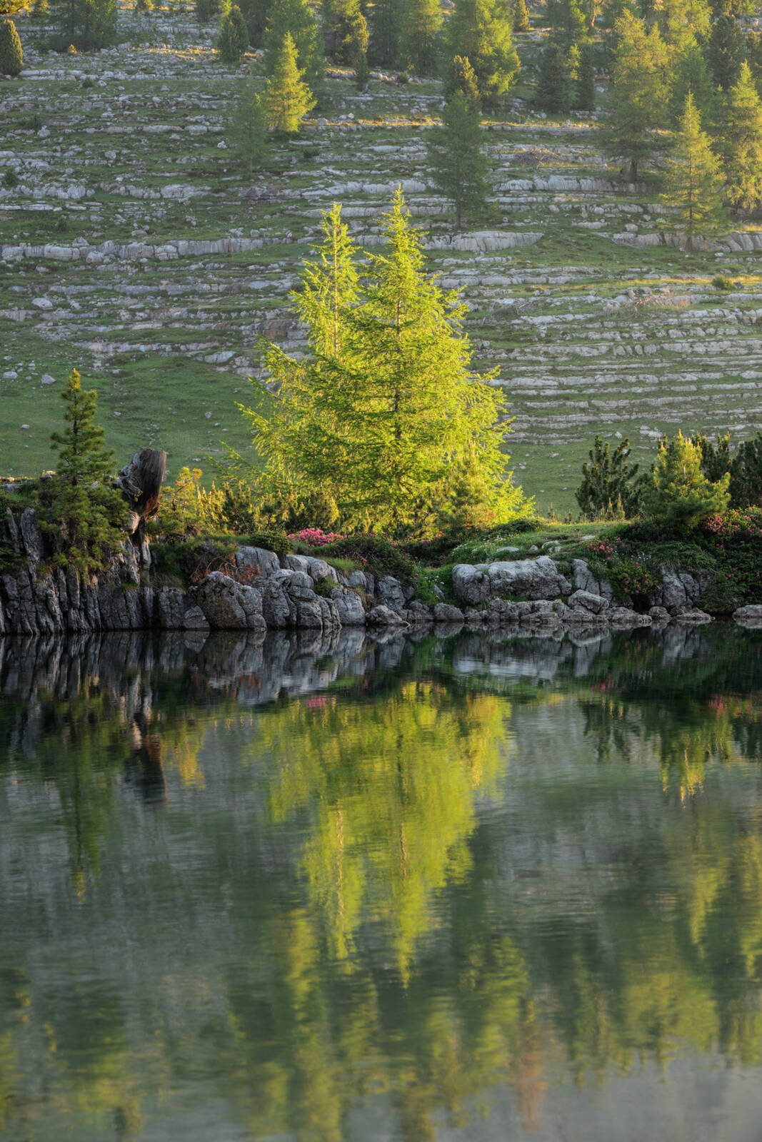 Image of Le Vert (Green Lake) - Fanes by Luka Esenko