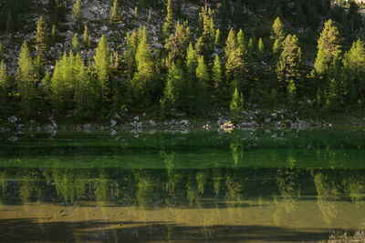 Le Vert (Green Lake) - Fanes