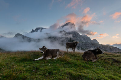 photos of The Dolomites - Tre Cime - Laghi dei Piani 