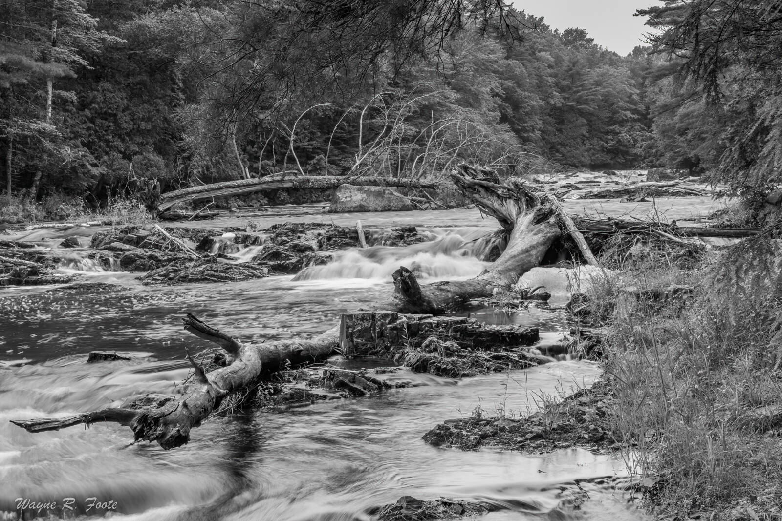Image of Mariaville Falls by Wayne Foote