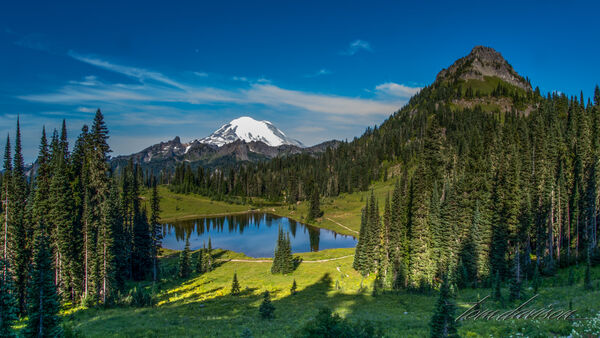 Tipsoo Lake from road above