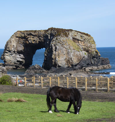 Ireland photos - Great Pollet Sea Arch