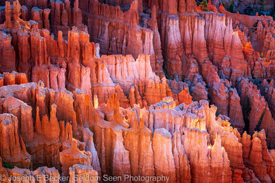 Picture of Inspiration Point - Bryce Canyon NP - Inspiration Point - Bryce Canyon NP