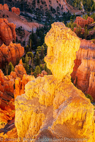 Photo of Inspiration Point - Bryce Canyon NP - Inspiration Point - Bryce Canyon NP