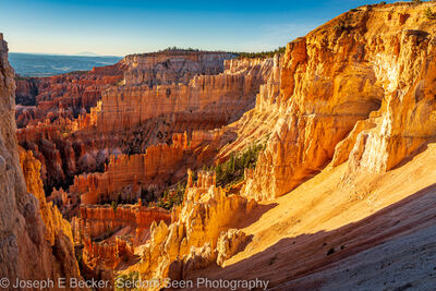 Picture of Inspiration Point - Bryce Canyon NP - Inspiration Point - Bryce Canyon NP